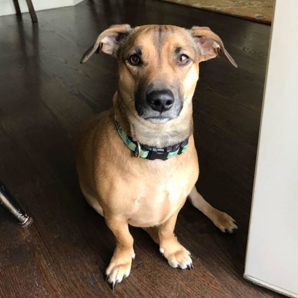 Meet your Posher, Aimee - Picture 1 of 1